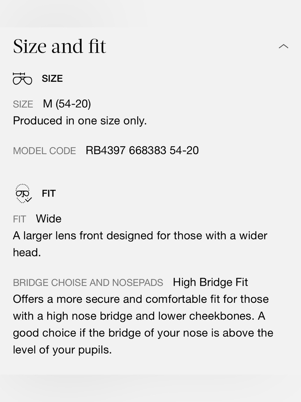 Ray-Ban Acetate Sunnies - Picture 11 of 11